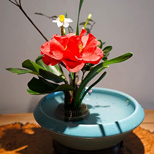 Ikebana Stem Holder, 3 Pieces Flower Frog Kenzan Fixed Tools Flower Holder Floral Arrangement Pin for Flower Arrangement Vase, Fixation and Decoration (Gold, 0.91 Inch, 1.02 Inch, 2.36 Inch) by TINSKY - Image 5