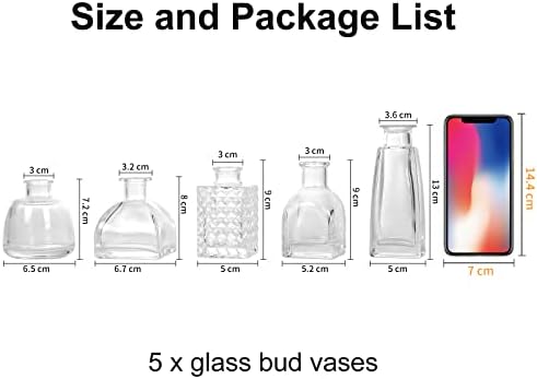 EylKoi Small Clear Bud Glass Vase Clear Glass Bud Vase 5 Pcs, Glass Little Vase, Ginger Bud Vases Small Vases Set Flower Vases Bulk for Centrepieces Vintage Bud Vase Decor Home, Wedding, Table