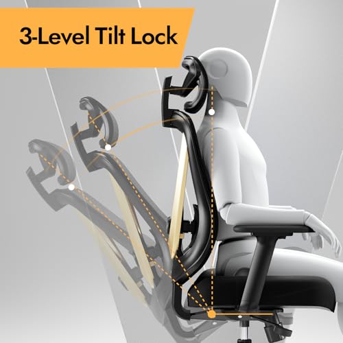 Image of HOLLUDLE Ergonomic Mesh Office Chair - 3D Adjustable Lumbar Support & 3D Armrests, V-Shaped Back, Adjustable Desk Chair for Office & Home, Black and Gold