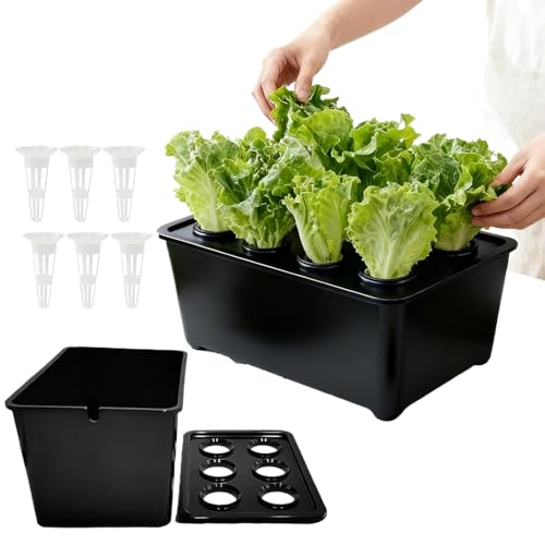 Tktouci de Cultivo Hidropónico de Interior | De Cultivo De 6 Agujeros - Caja De Siembra De Verduras | para Flores Frutas Interior Exterior Jardín Invernadero Alféizar Balcón Oficina