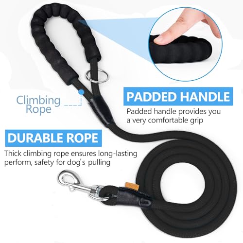 Aiminto Dog Leash in use with a large dog