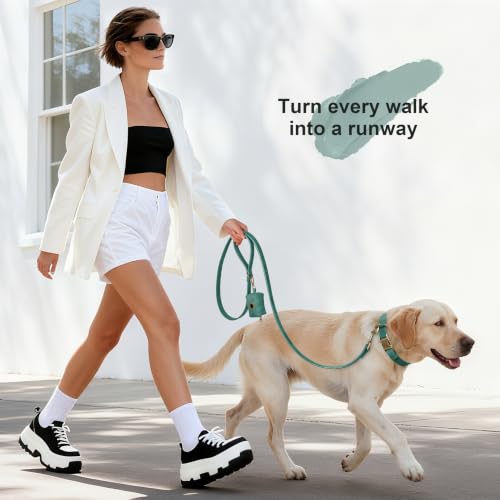 Image of Didog Dog Poop Bag Holder for Leash, Stylish PU Leather, Green
