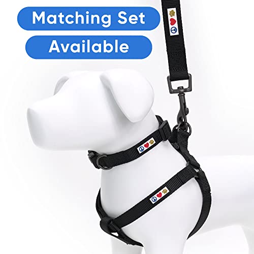 Pawtitas Dog Lead for Small Dogs Comfortable Handle Training Dog Lead 1.8m Long Dog Lead Puppy Lead - Solid Black Dog Lead for Small Breeds - Image 6