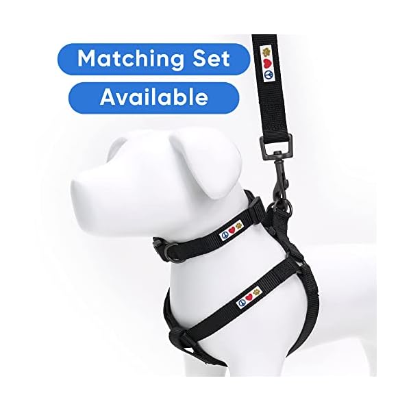 Pawtitas 6 FT Solid Color Leash Puppy Leash Dog Training Leash 1.8 M Extra Extra Small Dog Leash can be Used for as a Cat Leash Black Dog Leash/Laisse Pour Chien réglable de Couleur Solide en Nylon Pawtitas 6 FT Solid Color Leash Puppy Leash Dog Training Leash 1.8 M Extra Extra Small Dog Leash can be Used for as a Cat Leash Black Dog Leash/Laisse Pour Chien réglable de Couleur Solide en Nylon