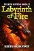 Labyrinth of Fire (Island of Fog, Book 2)
