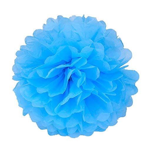 Life Glow 5Pcs Pom Poms Of 10" 12" Multi-Colors Tissue Paper Craft Pom Poms Kit Tissue Paper Flowers Wedding Decorations For Wedding, Birthday, Baby Shower, Nursery Decor- #TOP1