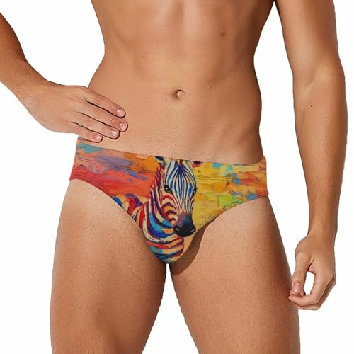 Rainbow Striped Zebras Mens Swim Briefs Bikini Sexy Low Rise Trunks Swimsuit Bathing Suit Beach