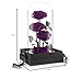 Eterfield Preserved Real Rose Handmade Eternal Rose in Glass Doom Gift for Her Valentine's Day Mother's Day Anniversary Birthday (Large, 3 Purple Roses)