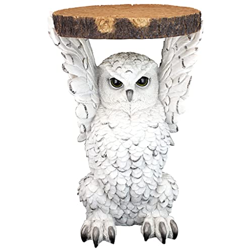 Design Toscano Wisdom Owl Sculptural Side Table, 20 Inch, Full Color #TOP1