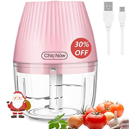 Electric Mini Chopper Onion Chopper Food Processor with USB Interface, 250ml Bowl 3 S-Shaped Stainless Steel Blades Use for Kitchen, Traveling, RV, etc.