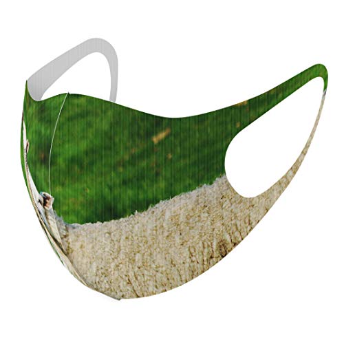 [igsticker] fUC }XN QZbg |GXe 􂦂 z}XN XLTCY 傫 jp 002585 Aj} Ђ  ʐ^