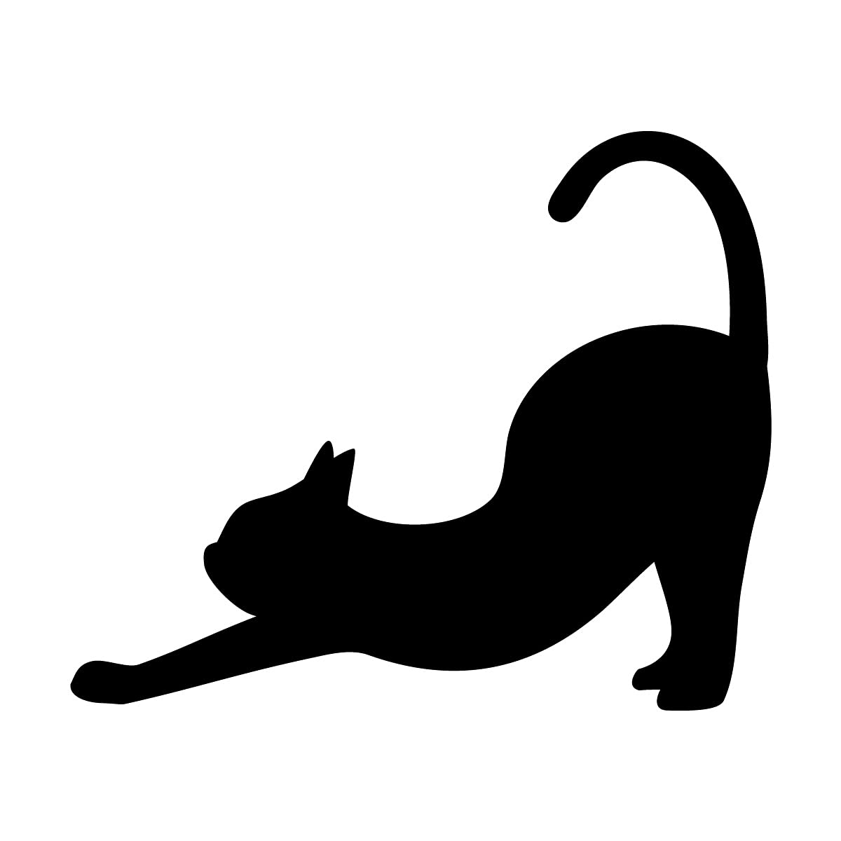 Amazon.co.jp: 猫の背伸び（尻尾たち）ネコ ねこ キャット ヨガの