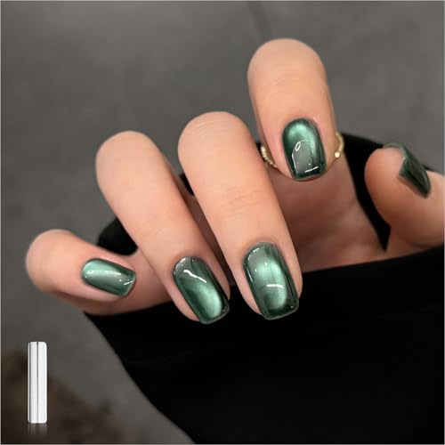 GAOY Jelly Green Cat Eye Gel Nail Polish, 16ml Glitter