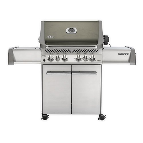 Preisvergleich Produktbild Napoleon Prestige 500, Smokey Quartz