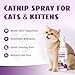 nonaginta Catnip Spray for Cats, 100% Natural Catnip Mist Spray for Cats & Kittens, Relieves Stress, Calming, Safe for Pets - 2 Fl Oz