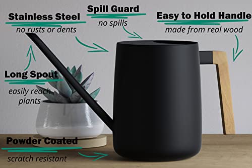 HB Design Co. Indoor Watering Can with Long Spout - 35oz Black Stainless Steel Watering Can for Indoor Plants - Image 2