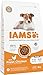 IAMS Junior Hundefutter trocken mit Huhn - Welpenfutter für Welpen im Alter von 1-12 Monaten, geeignet für kleine & mittelgroße Rassen, 3 kg