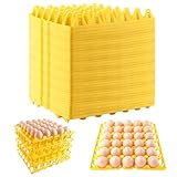 CYEER 20 pezzi contenitore per uova, contenitore per uova per frigorifero, vassoio per 30 porta uova all'ingrosso per conservare le uova (giallo)