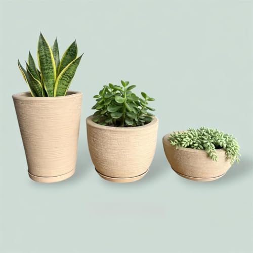 Kit 3 Vasos para Plantas Redondos Escovados em Polietileno, Estil...