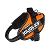 Julius-K9, 16IDC-FOR-MM, IDC Powerharnas, hondenharnas, Maat: Mini-Mini, UV Oranje