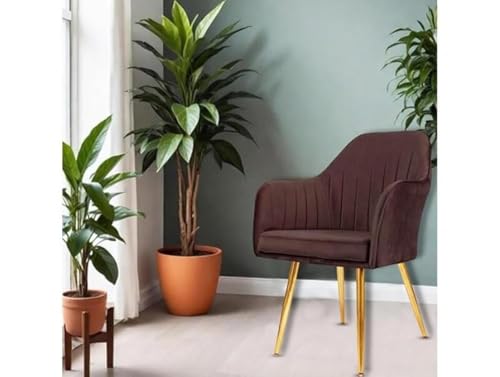 Image of Accent Chairs for Living Room | Modern Armchair in Velvet Fabric with Golden Legs | Pack of 1 Chair for Home, Office, Restaurent, Cafe (Brown)