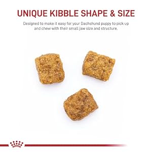 Royal Canin Dachshund Puppy Breed Specific Dry Dog Food, 2.5 lb Bag Royal Canin Dachshund Puppy Breed Specific Dry Dog Food, 2.5 lb Bag