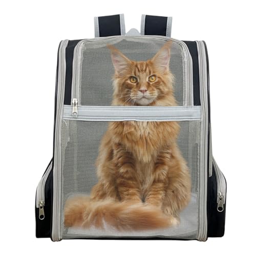 猫のバックパックキャリア、猫キャリアバックパック - ペットキャリアトラベルバックパック | ピクニック、ハイキング、キャンプ用の取り外し可能な豪華なクッションを備えた ペット用品