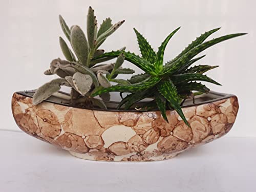 Image of VISIONCRAFTERZ Boat Shaped Ceramic Pot for Plants | Plant NOT Included, Pack of 1, Brown|