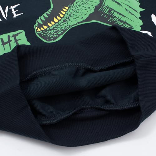 Image of Popshion Toddler Boys Sweatshirts Dinosaur Long Sleeve Pullover Crewneck Shirts Cartoon Tee Sport Tops for Kids 1-8T