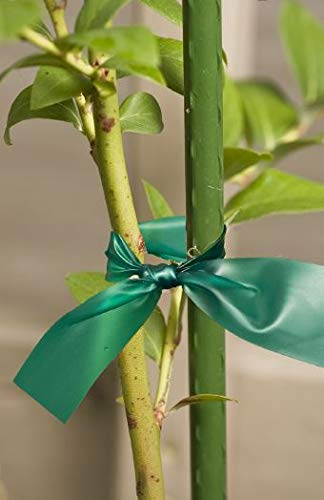 Gardener's Blue Ribbon 150 Ft Sturdy Stretch Tie T006A #TOP4