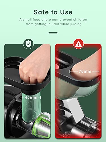 Juicer Machines, Housnat Professional Celery Slow Masticating Juicer Extractor Easy To Clean, Cold Press Juicer With Quiet Motor And Reverse Function For Fruit & Vegetable, Brushes & Recipes Included, Black #TOP2