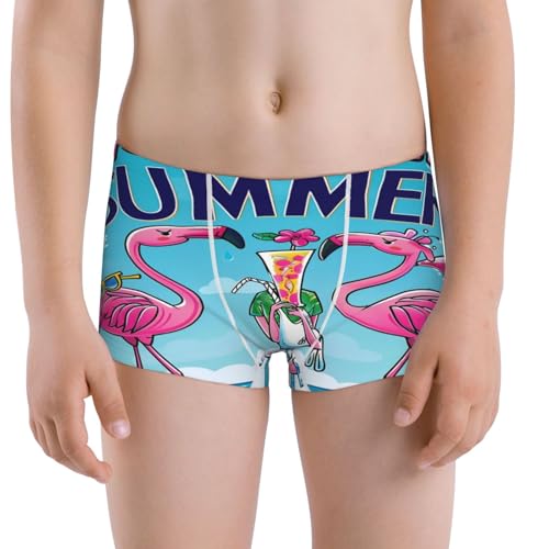 Boys' Cotton Boxer Brief Soft Underwear-Beach Flamingo Trio