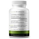 Beetroot Supplement | 120 Tablets | Beta Vulgaris | Vegan Friendly & Gluten Free | Certified Carbon Neutral & Made in The UK (120 Tablets) - Image 2