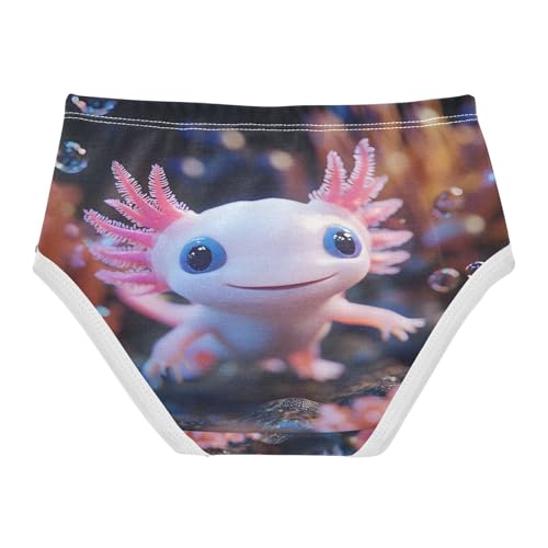 V Toddler Girls's Underwear 2T 202b88362