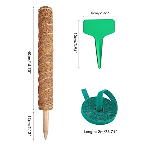 Moss Pole 2 Packs Coco Coir Poles Support For Climbing Plants, Coconut Fibre Stick 40 Cm For Climbing Pots, Indoor Plants To Push Up #TOP6