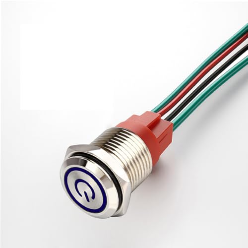GUUZI 220 V / 15A Interruptor de Botón de Enclavamiento NO, Luz LED Azul Impermeable Iluminada 19mm Botón de Encendido de Metal con Cable de Enchufe