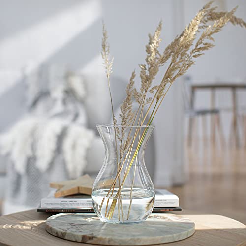 Poppy Bloemenvaas, glazen vaas voor bloemen, glazen bloemenvaas, tafelvaas, decoratieve vaas, helder glazen vaas, decoratieve vaas van glas, woonkamer decoratie, decoratieve vaas, H 18 cm, - Afbeelding 5