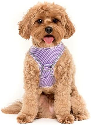 YUDOTE Step-in Reflective Harness Easy-on Easy-off 2-Layer Soft Mesh Vest with ID Tag Holder for Tiny Puppies,Kittens Daily Use,XXS,Black with Orange
