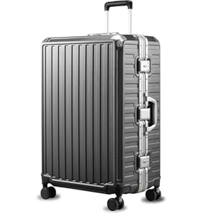 LUGGEX Checked Suitcase with Spinner Wheels, 8010S Aluminum Frame Zipperless Polycarbonate Hard Shell Suitcase (ZX-Core, Charcoal Metallic, 28 Inch)