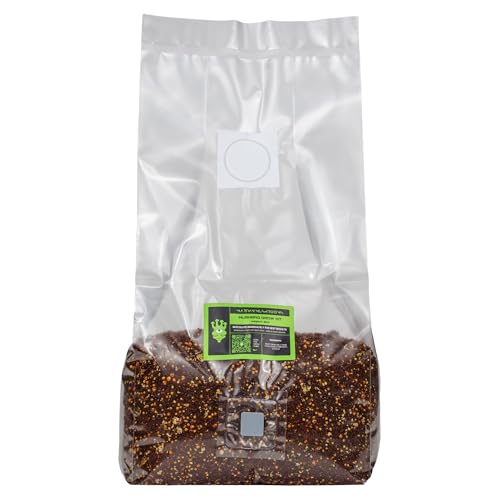 Martian Mushrooms Mushbag All-in-One Mushroom Grow Kit | Inject and Forget | Beginner Friendly | Easy to Use | Fast Growing | Large 700g Yields of Fresh Mushrooms | Grow Bag Only | 1.5kg
