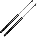 ECCPP Lift Support Rear Liftgate Replacement Struts Gas Springs Fit for 2007-2015 Audi Q7 Set of 2