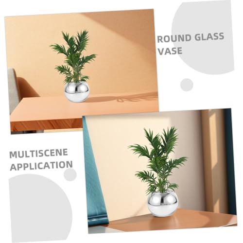 Composition terrarium de qualité supérieure en vase de verre - 4