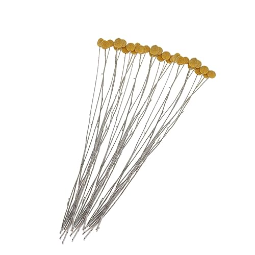 Cabilock 20 piezas flores secas Craspedia para decoración