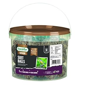 Gardman A04294 Energy Suet Fat Balls 50 Tub Bird Food, Natural, 27 x 27 x 21 cm