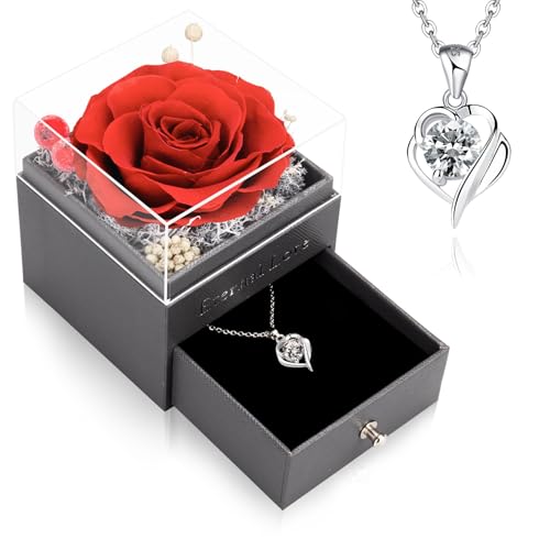 CSYY Rosa Eterna, Regalos para Mujer, Rosas Infinitas con Cadena de Plata de Ley 925 Joyería Hecha A Mano con Rosas Preservadas Caja de Regalo para Mujer Mamá Hermana Esposa en Navidad CSYY Rosa Eterna, Regalos para Mujer, Rosas Infinitas con Cadena de Plata de Ley 925 Joyería Hecha A Mano con Rosas Preservadas Caja de Regalo para Mujer Mamá Hermana Esposa en Navidad
