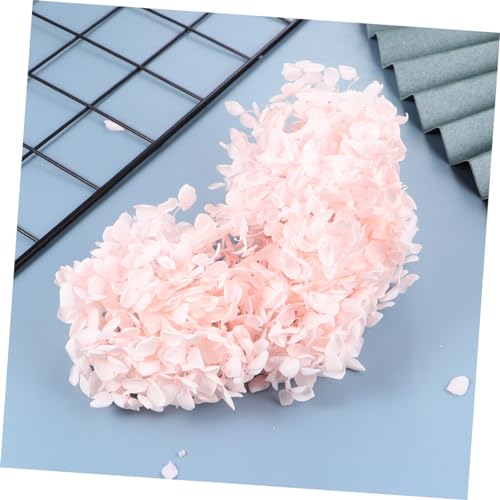 Pétalos secos naturales de hortensia rosa claro Garneck miniatura 7