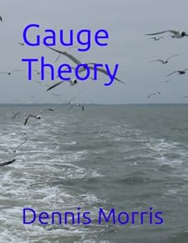 Paperback Gauge Theory Book
