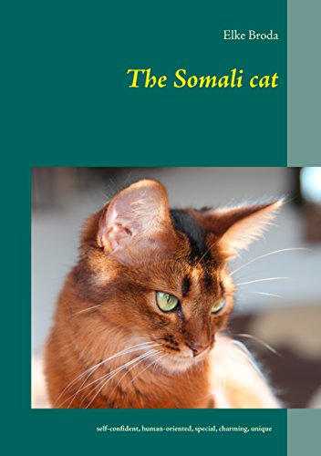 The Somali cat (English Edition)