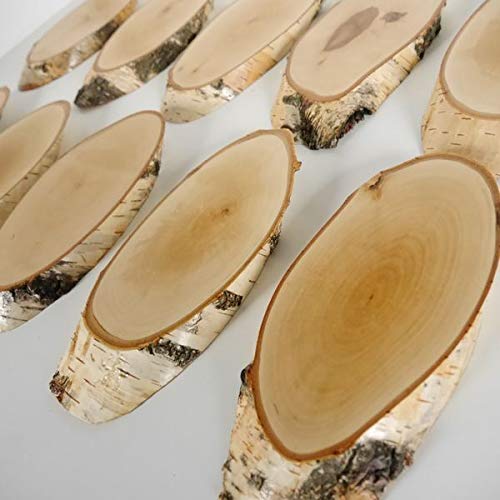 10 carteles de madera de abedul para trofeos con cornamenta, cornamenta, disco de árbol, cartel de madera natural, moderno con compartimento de pino