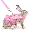 Hotlion Guinea Pig Harness and Leash Set, Soft Breathable Rabbit Harness and Leash Set Cute Mesh Bunny Vest Harness for Rabbit Hamster Clothes Kitten Ferret Puppy Small Pets Walking Gear, Pink L